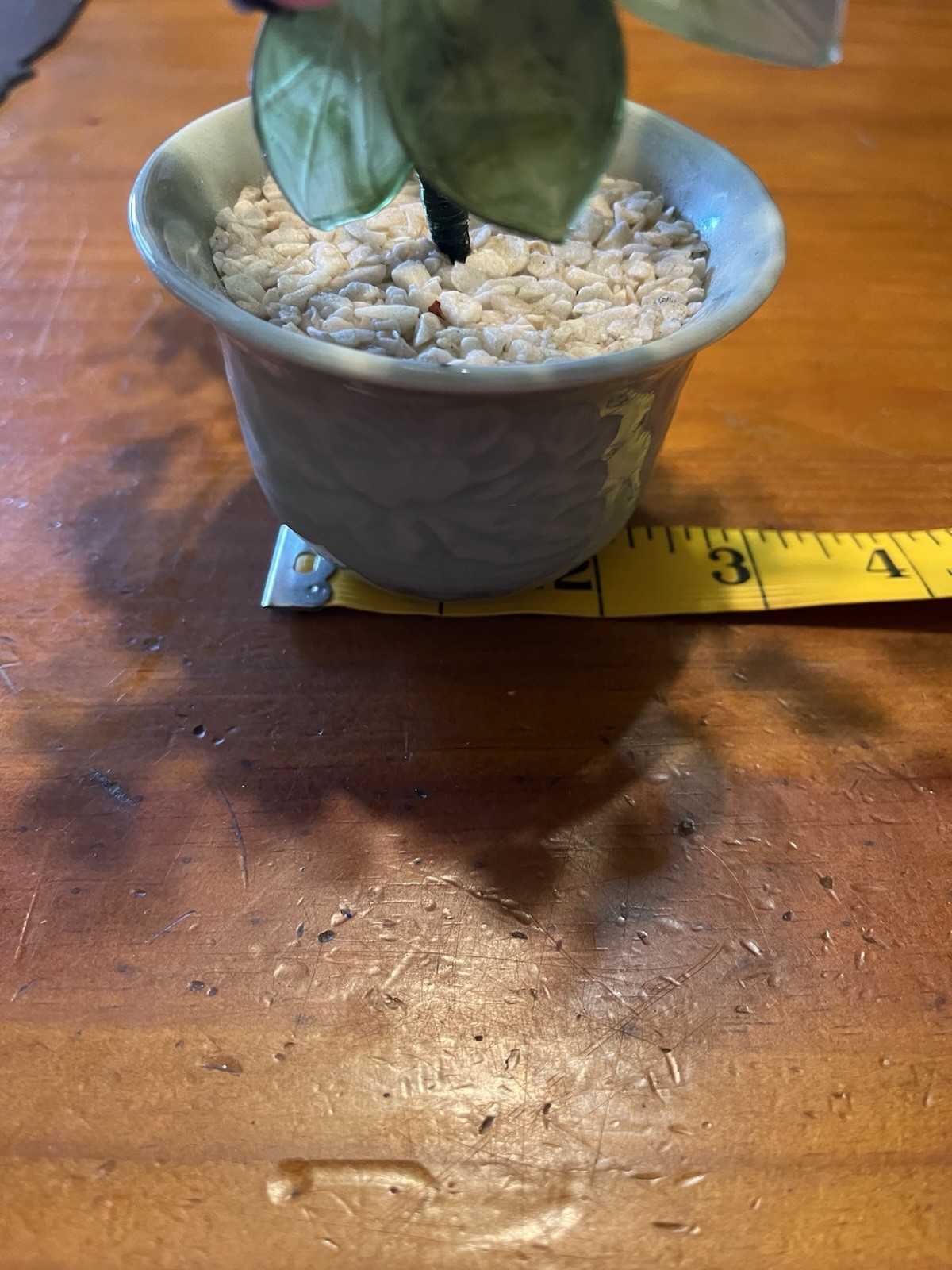 Vintage Chinese bonsai with glass and Jade