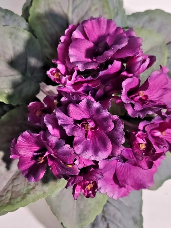 8″ Artificial African violet (WINE) without pot