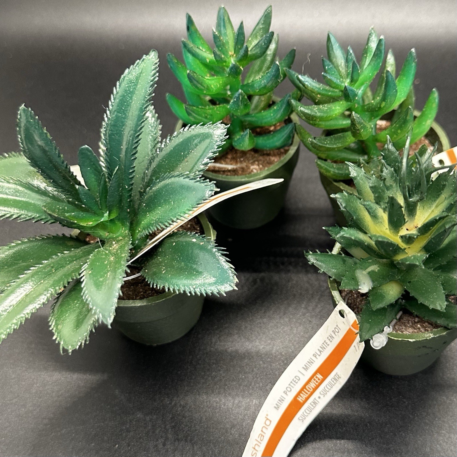 25 Mini Artificial Succulent Plant Lot Potted Black Green Purple Halloween Craft