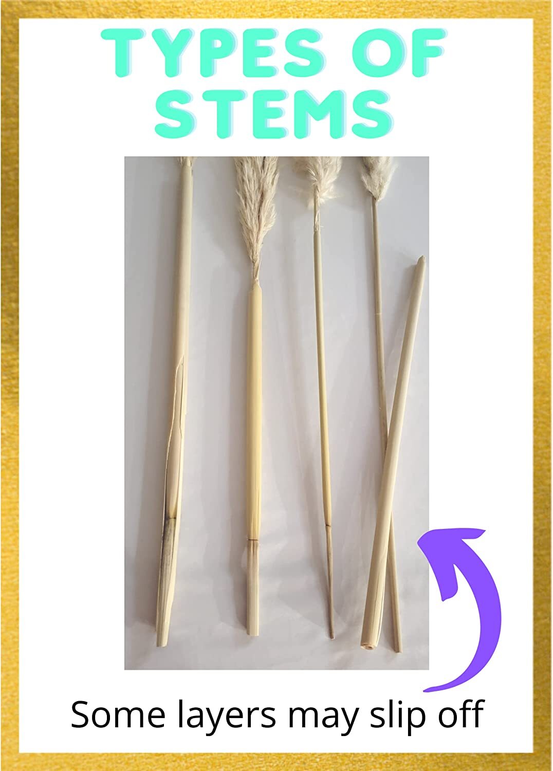 Decor Unicorn Tall Pampas Grass for Floor Vase -6 46″ Large Pampas Grass Stems f