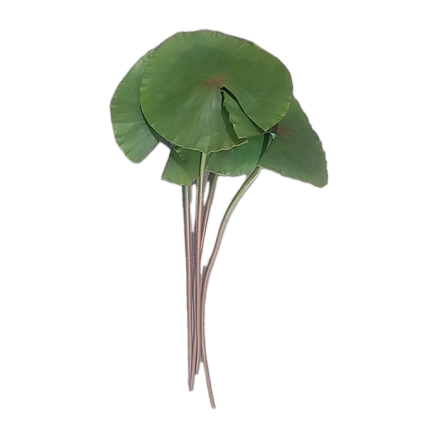 23″ Faux Foliage Realiatic Plant Lotus Leaf (Set of 4), 9″ Leaves Decoration