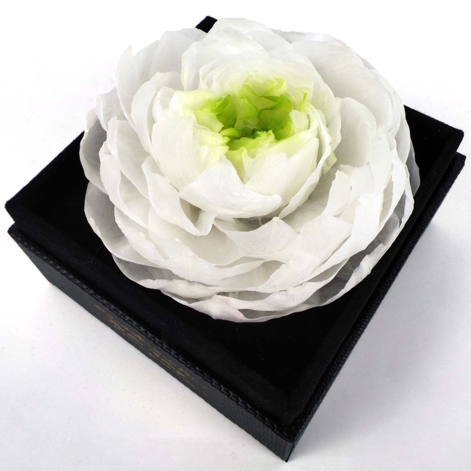 Fresh Cut Flower Preserved Peony for Women Mom Wife Girlfriend – Flower Gift …