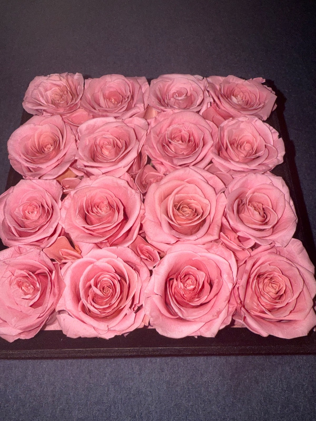 forever roses pink color black box perfect for present