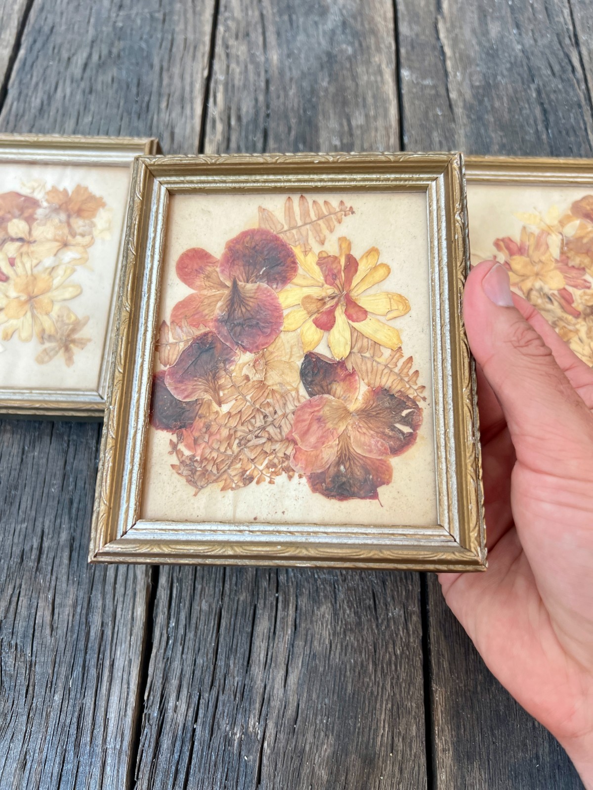 Vintage Dried Flower Artwork Set – Gold Wood Frame Wall Art (5 3/4″)