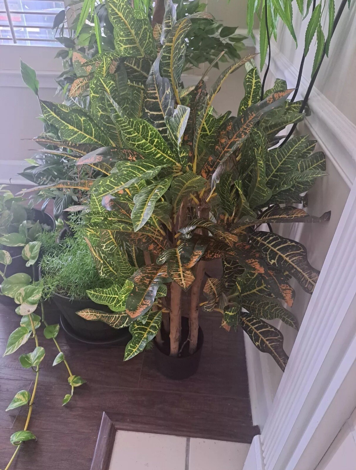 3’ Croton Artificial Tree w/Natural Trunks & 180 Lvs Home Decor. Retail $124