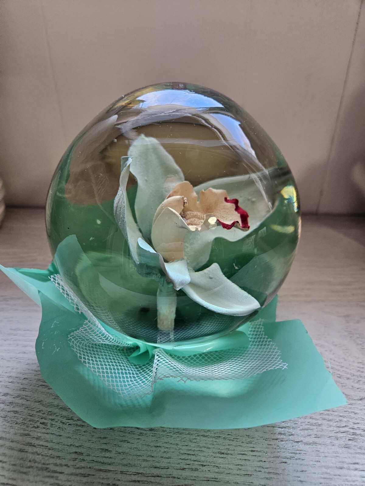 Bill Doran Mexico ORCHID Flower Globe Preserved Decor 7″ Teal Green Clear Gorg!!