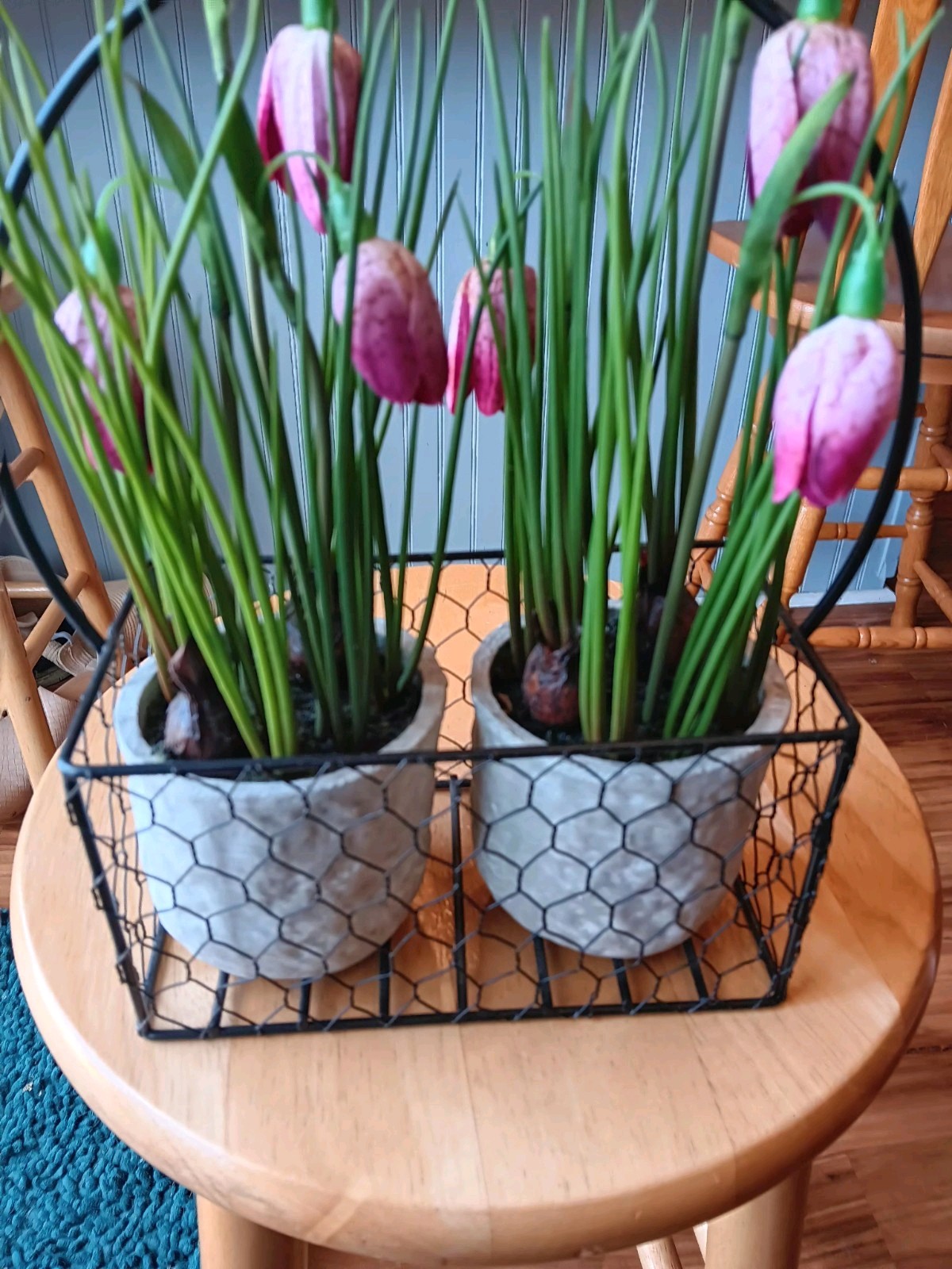 Decorative Wire Basket With 2 Faux Potted Flower Arrangments
