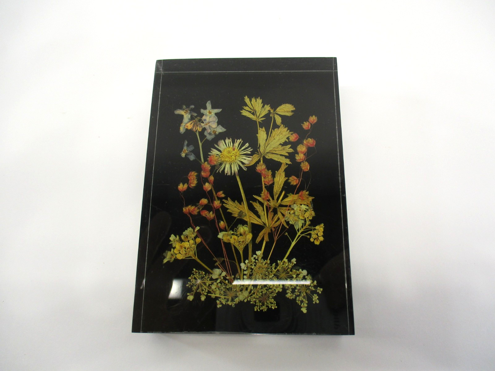 Vtg Lucite Pressed Dried Flowers DINA-Brilliant #1710 10×7 cm W. Germany Picture