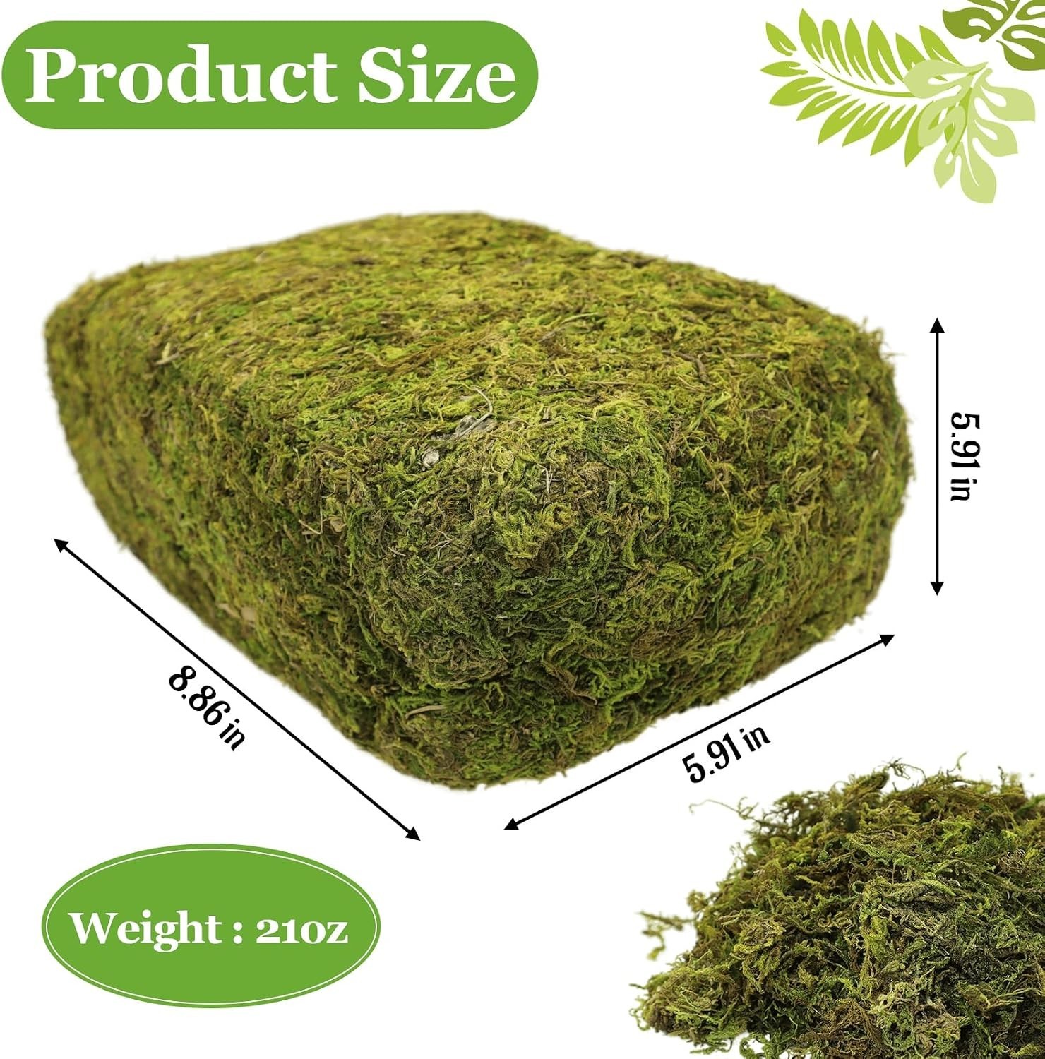 Soft and Textured 1.3LB Natural Moss for Fairy Gardens and Floral Displays