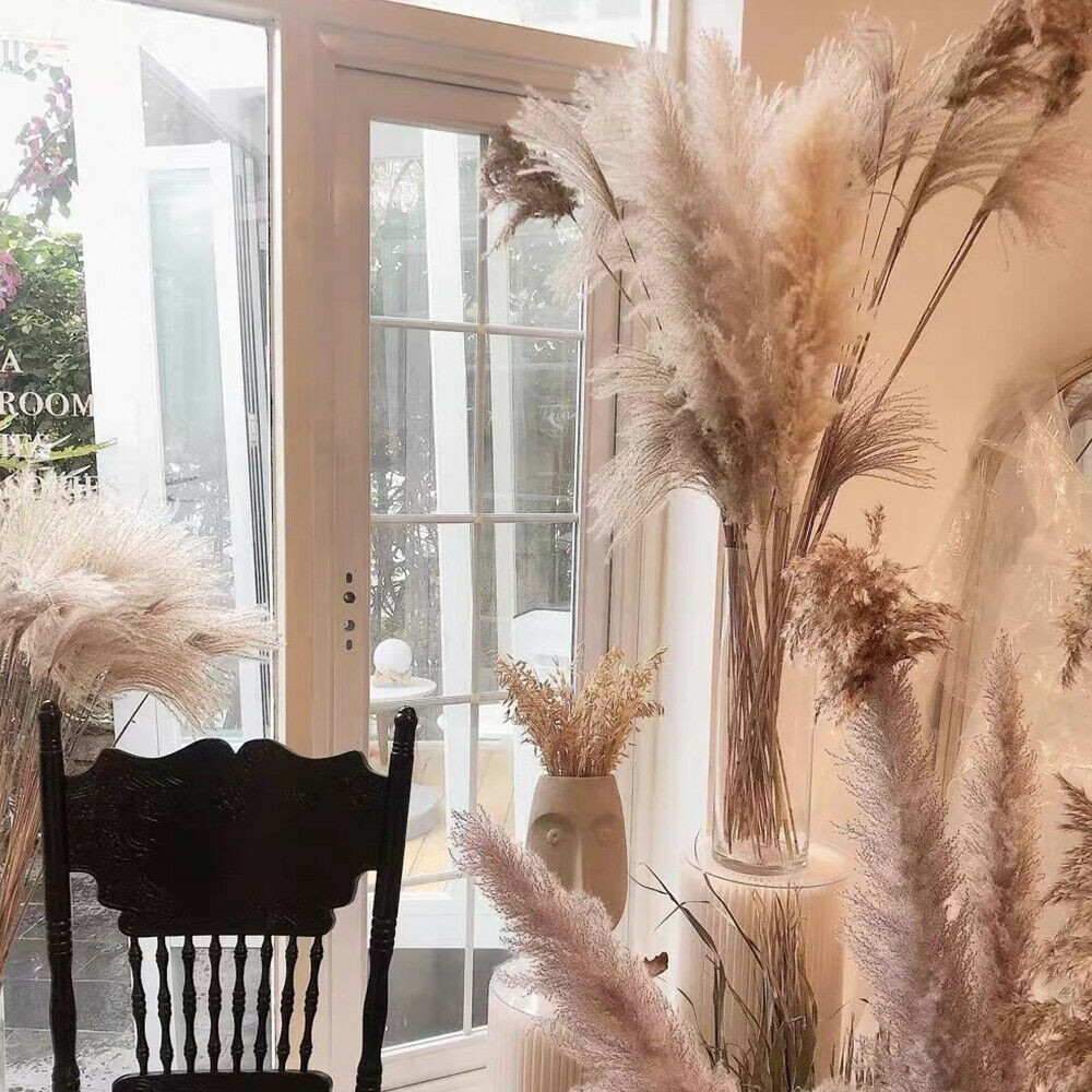 60PCS Natural Dried Pampas Grass Reed Flower Bunch DIY Flower Home Decor Supply