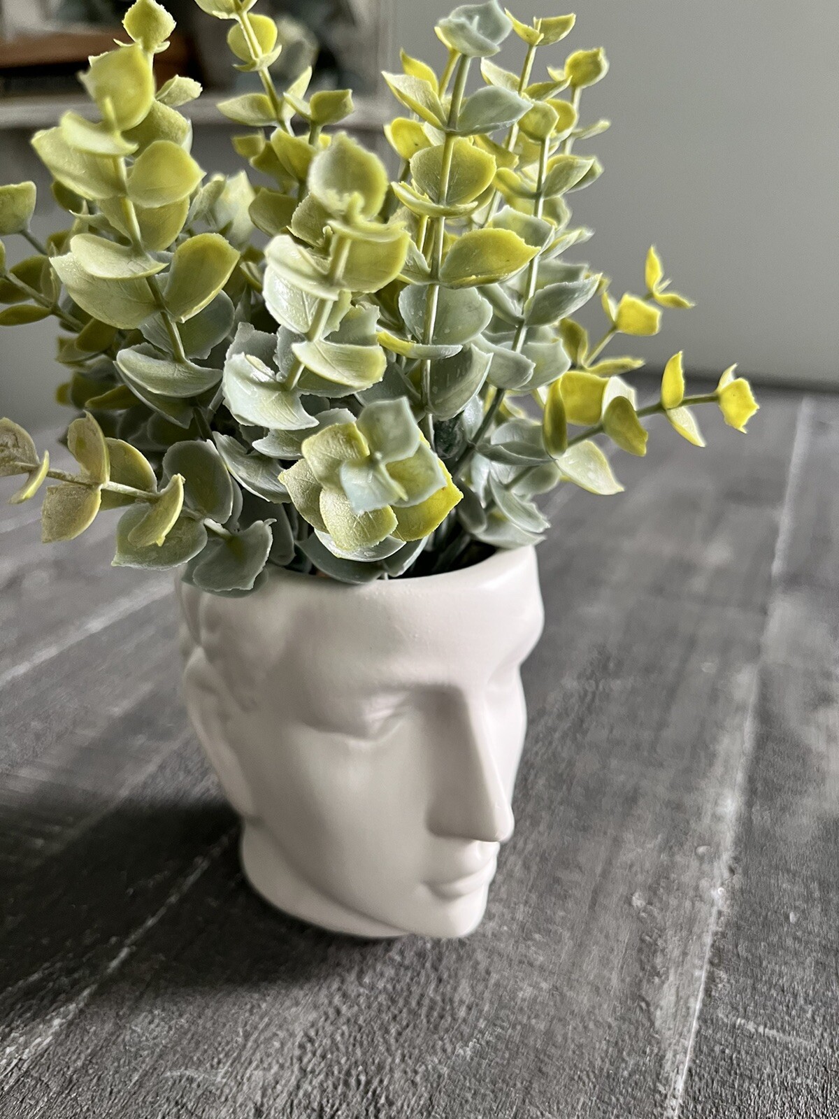 Man Head Planter Bust With Green Succulent Decor White Matte Finish New