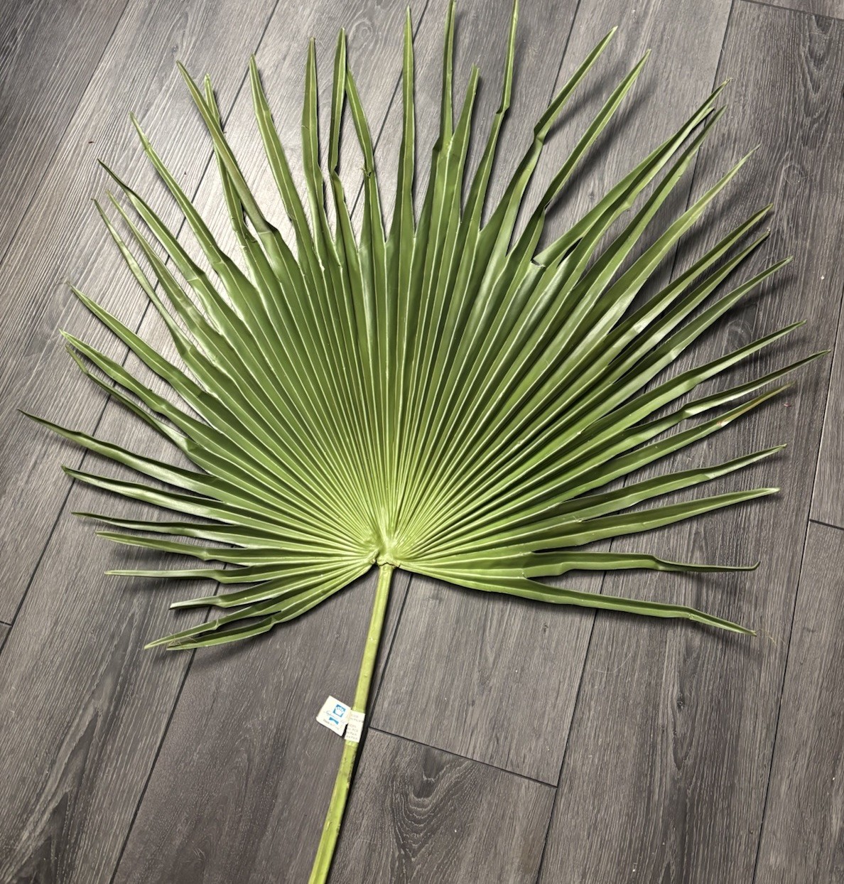 Large Fan Palm Leaf Stem 58” Tropical Boho Coastal Wedding Home Decor Prop