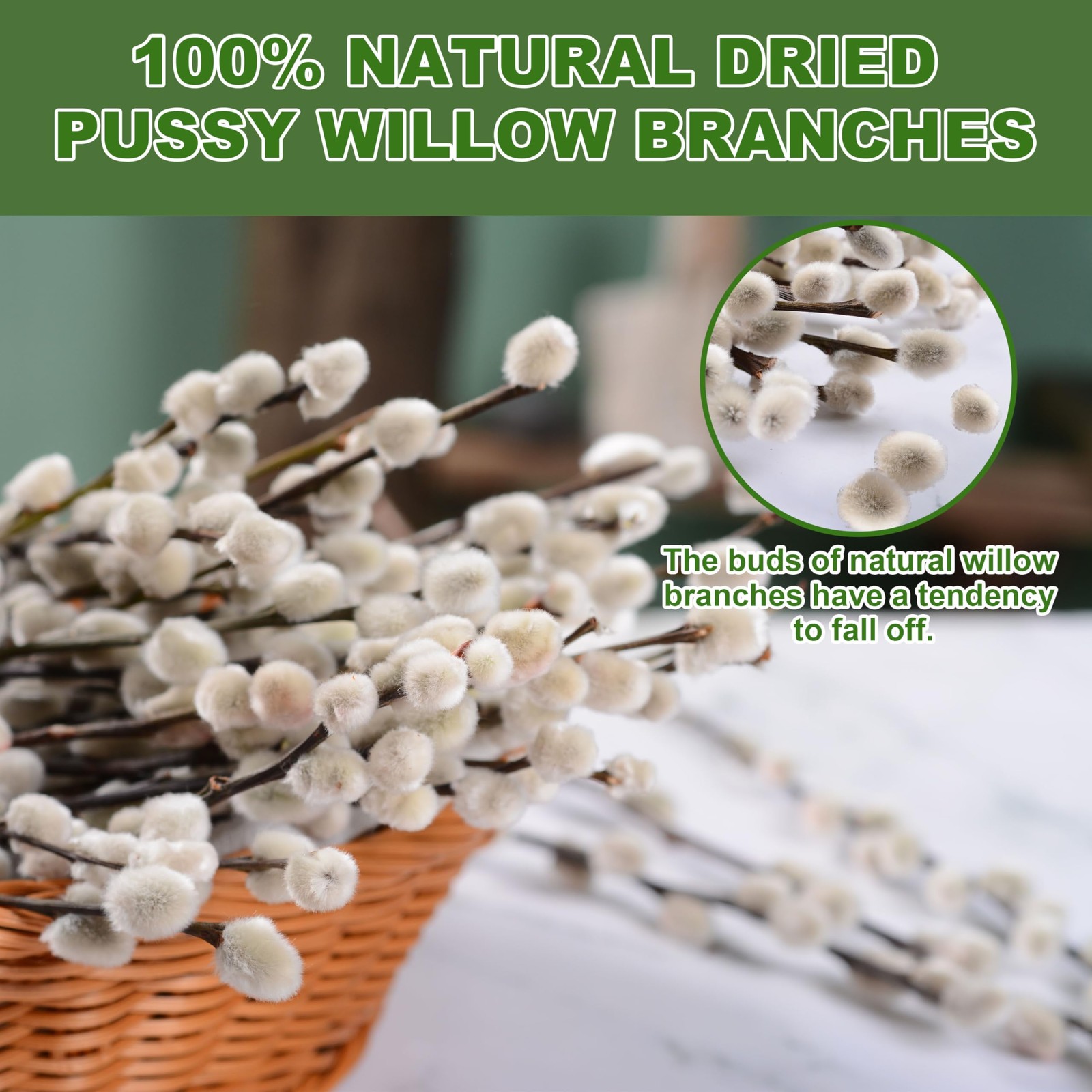 Dried PussyWillow Branches 60 Stems 17″ White Flowers Indoor Outdoor Decor