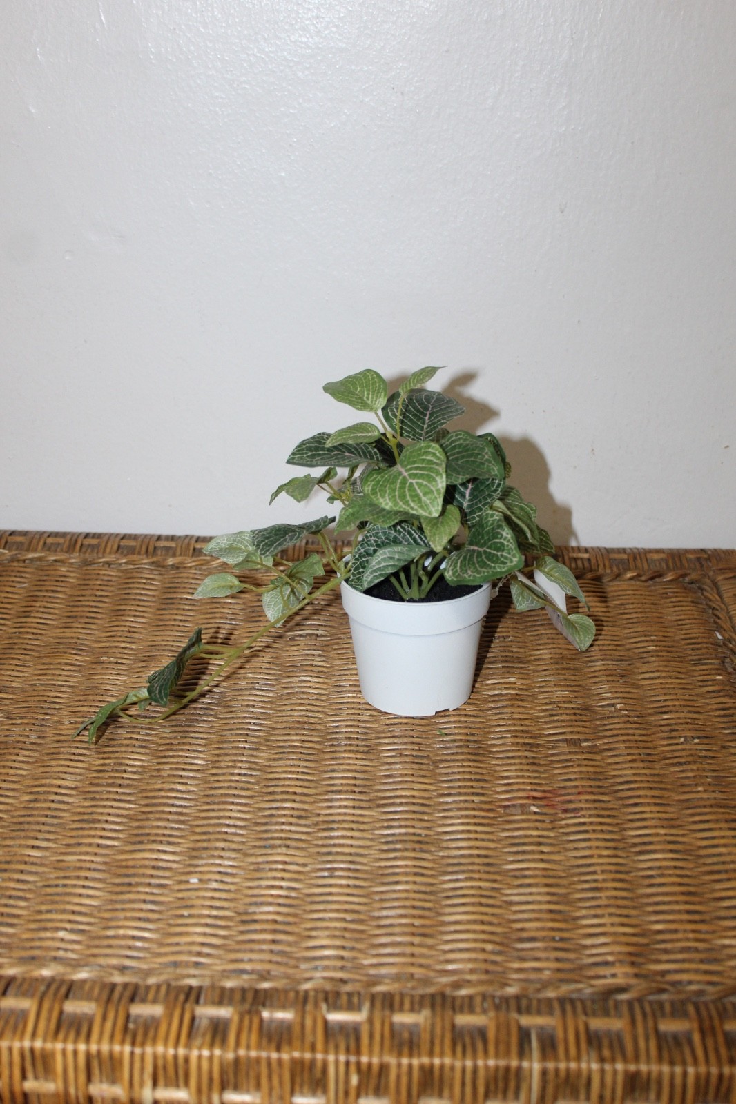 Williams Sonoma Artificial Potted Mosaic Leaf Plant