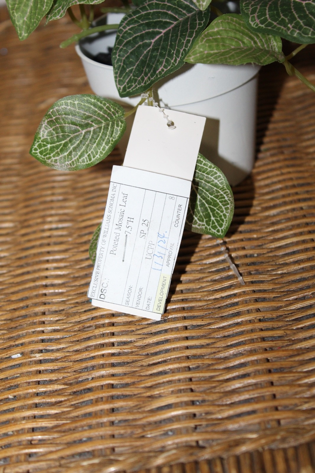 Williams Sonoma Artificial Potted Mosaic Leaf Plant