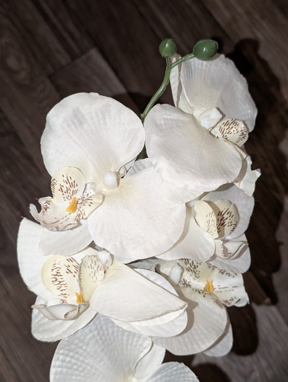 White 16″ Orchid Silk Flower in Black Vase