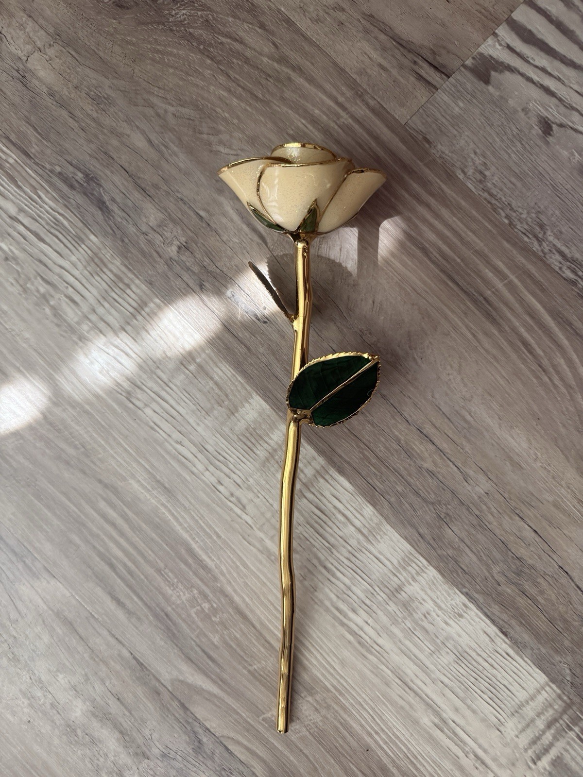 Steven Springer 24K Gold Dipped Rose