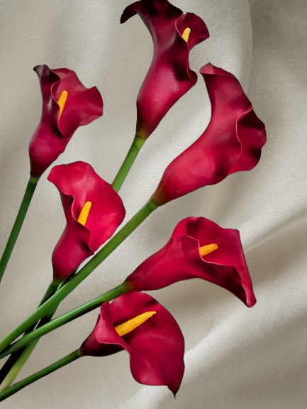 26″ Cranberry real touch calla lily stems (6)