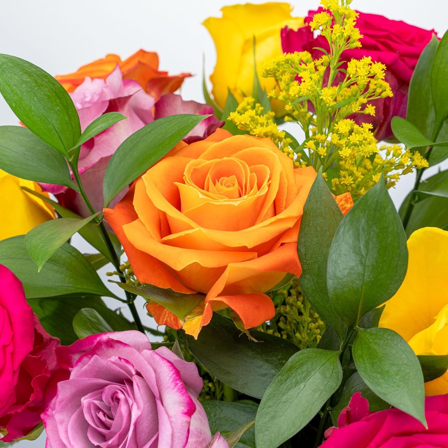 12 Long Stemmed Rainbow Roses with Glass Vase for Birthday Anniversary Gift