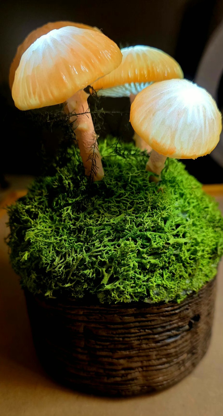Mushroom “Fungi” Table Light Battery Operated Whimsical Cottagecore