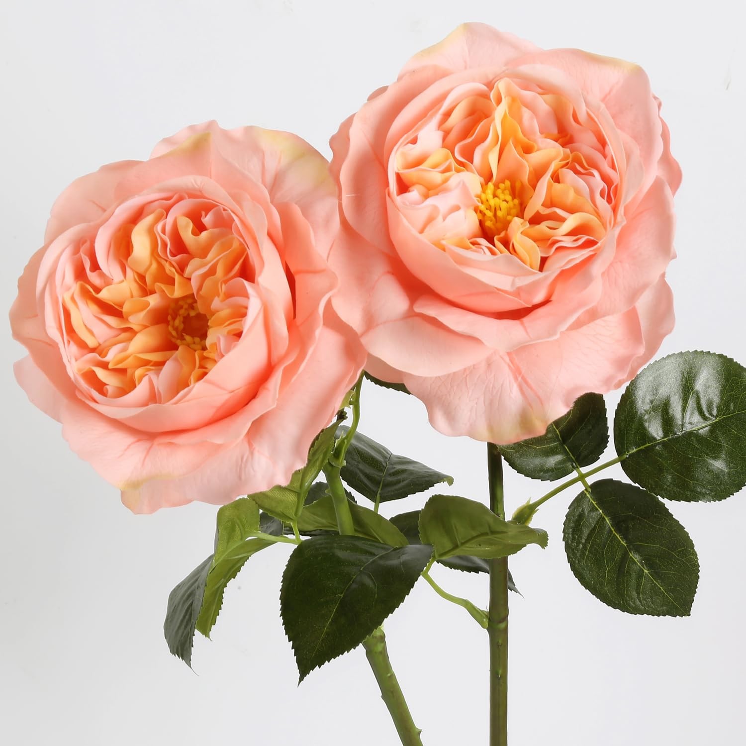 2Pcs Fake Austin Rose Peonies Flowers Real Touch Peach Roses with Stems 25.60…