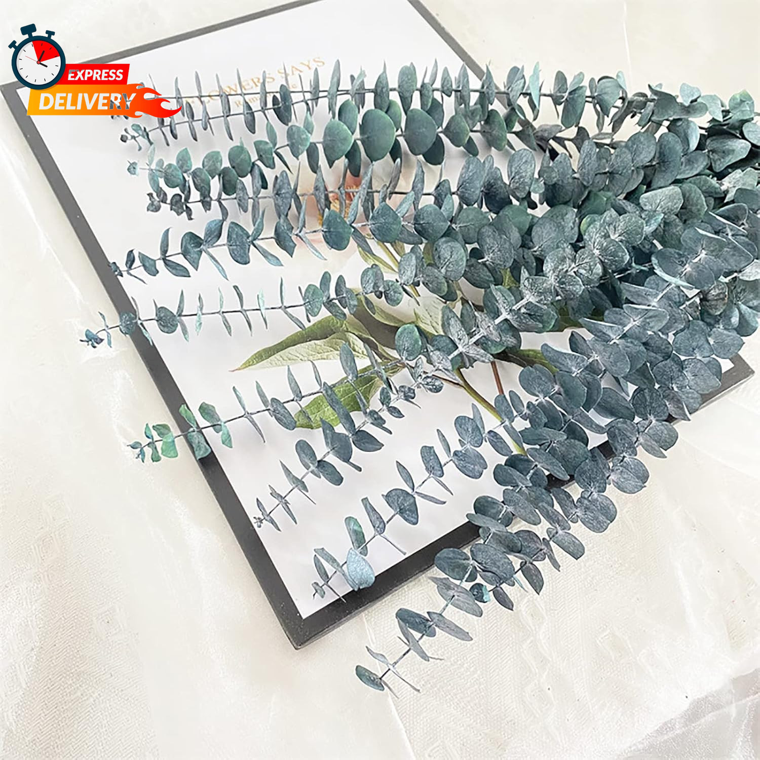 Eucalyptus for Shower 10 Pcs Hanging Dried Eucalyptu Stems 17″ Real Eucalyptus B