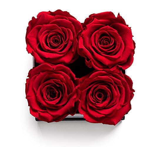 | Roses in A Box | Genuine Roses that Last for Years White Square 4ct. Red