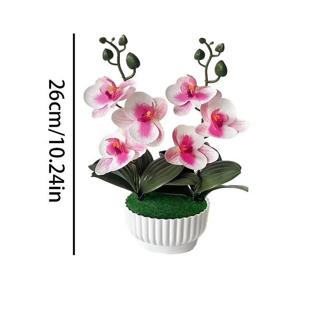 Phalaenopsis Orchid Simulation with Shell Shaped Pot for Home Office Use