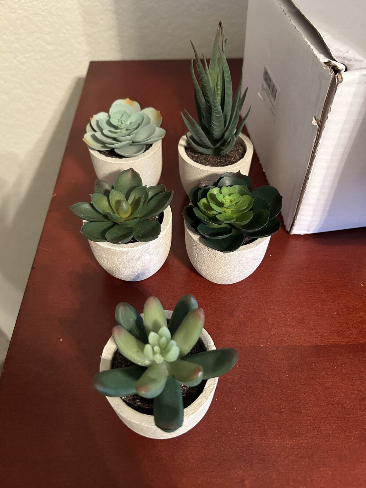 Artificial Succulents with Gray Pots – Set of 5 – New in Box