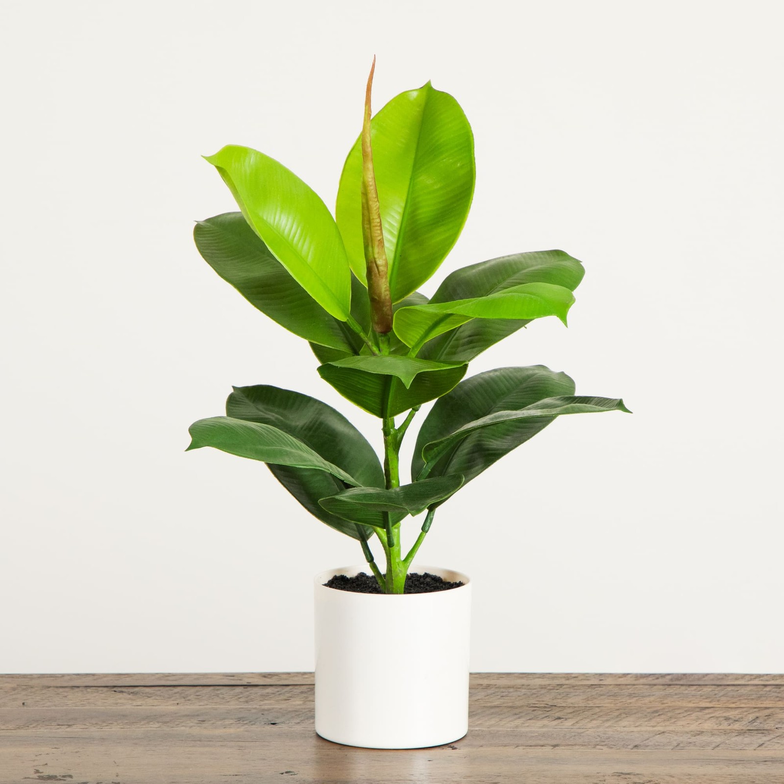 20-In Artificial Fiddle Leaf Fig Plant with Vanilla Plastic Planter Indoor Decor
