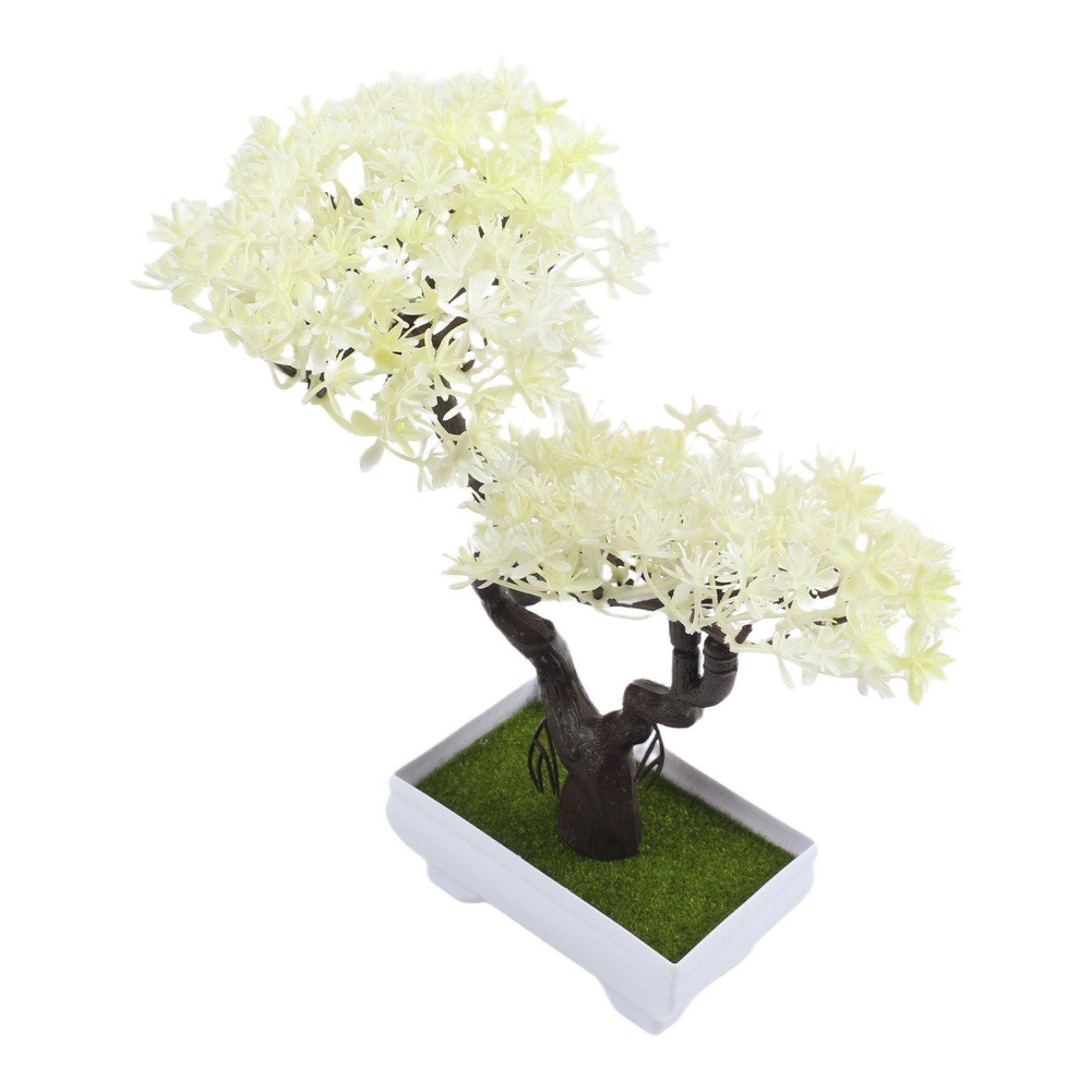 Decorative For Mini Potted Pine Tree for Office Home Tabletop Greenery