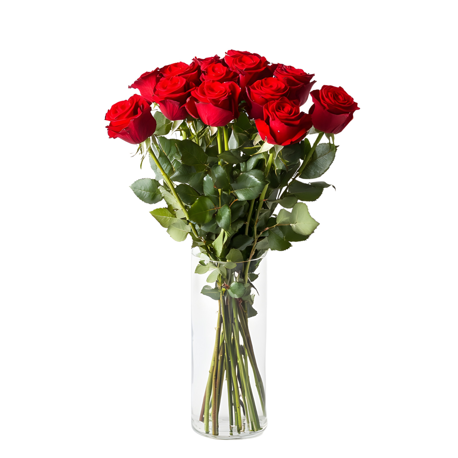 12 Real Premium Fresh Cut Red Roses – 12 Stems Fresh Flowers – Fresh Bouquets