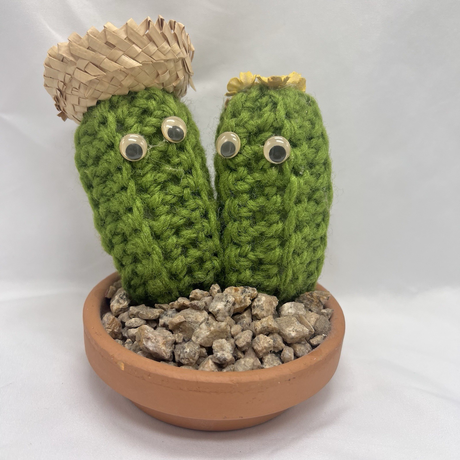 5 1/2” Crocheted / Knitted Potted Cactus Plant In Rock Bed Google Eyes