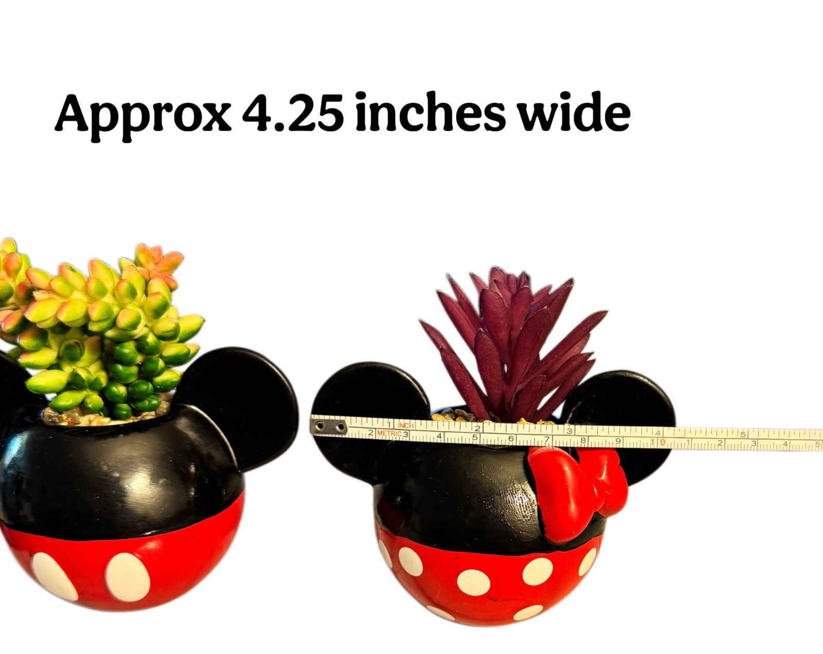 Mickey & Minnie Classic Succulent Set (2 Piece Set) Cute Plant Decor
