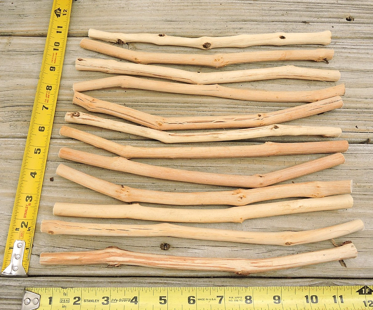30 Grapevine Wood Stick Section 7/16~1/2″D 11~12″L Driftwood Decor Crafts