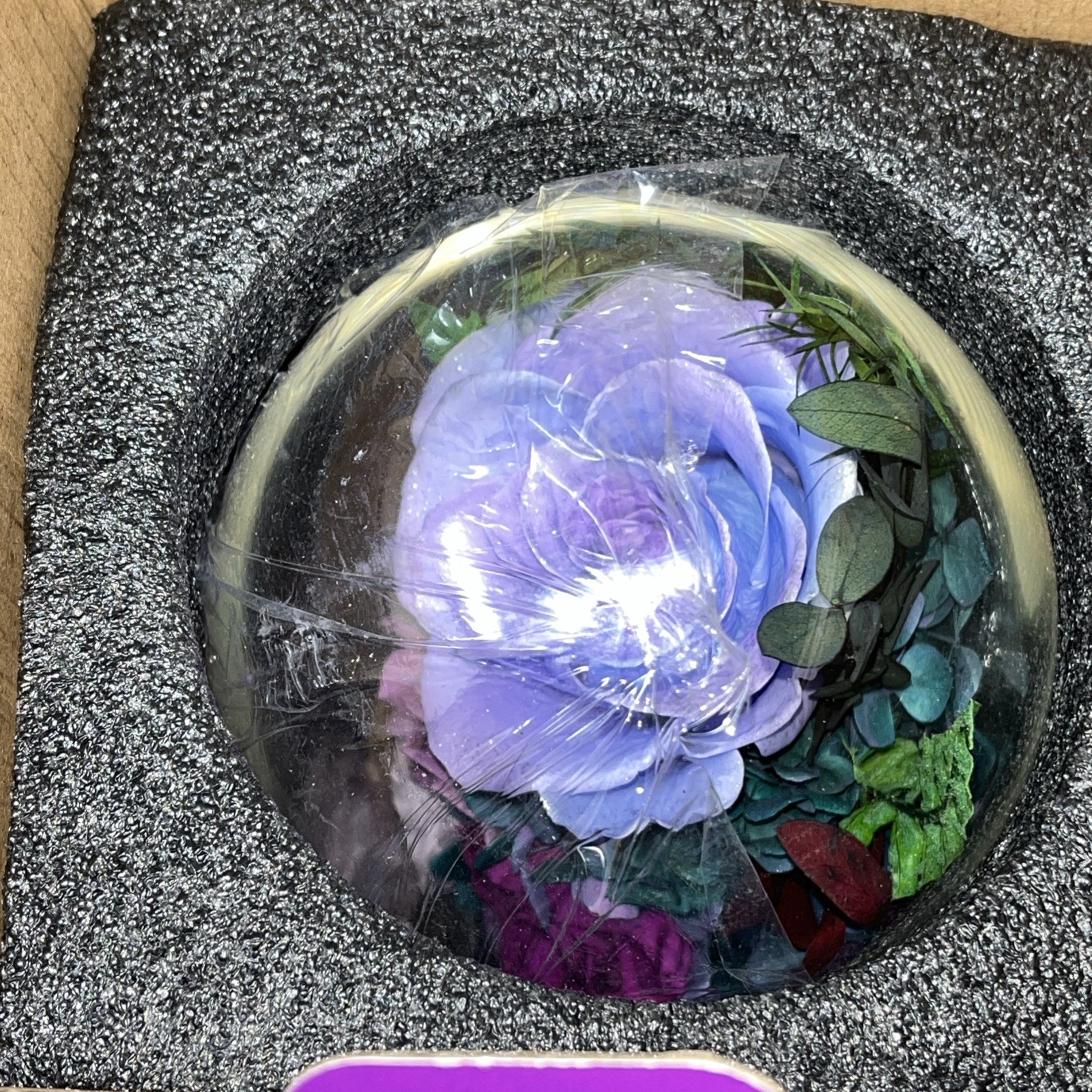 Glass Dome Preserved Roses Flowers in Lighted Wood Base
