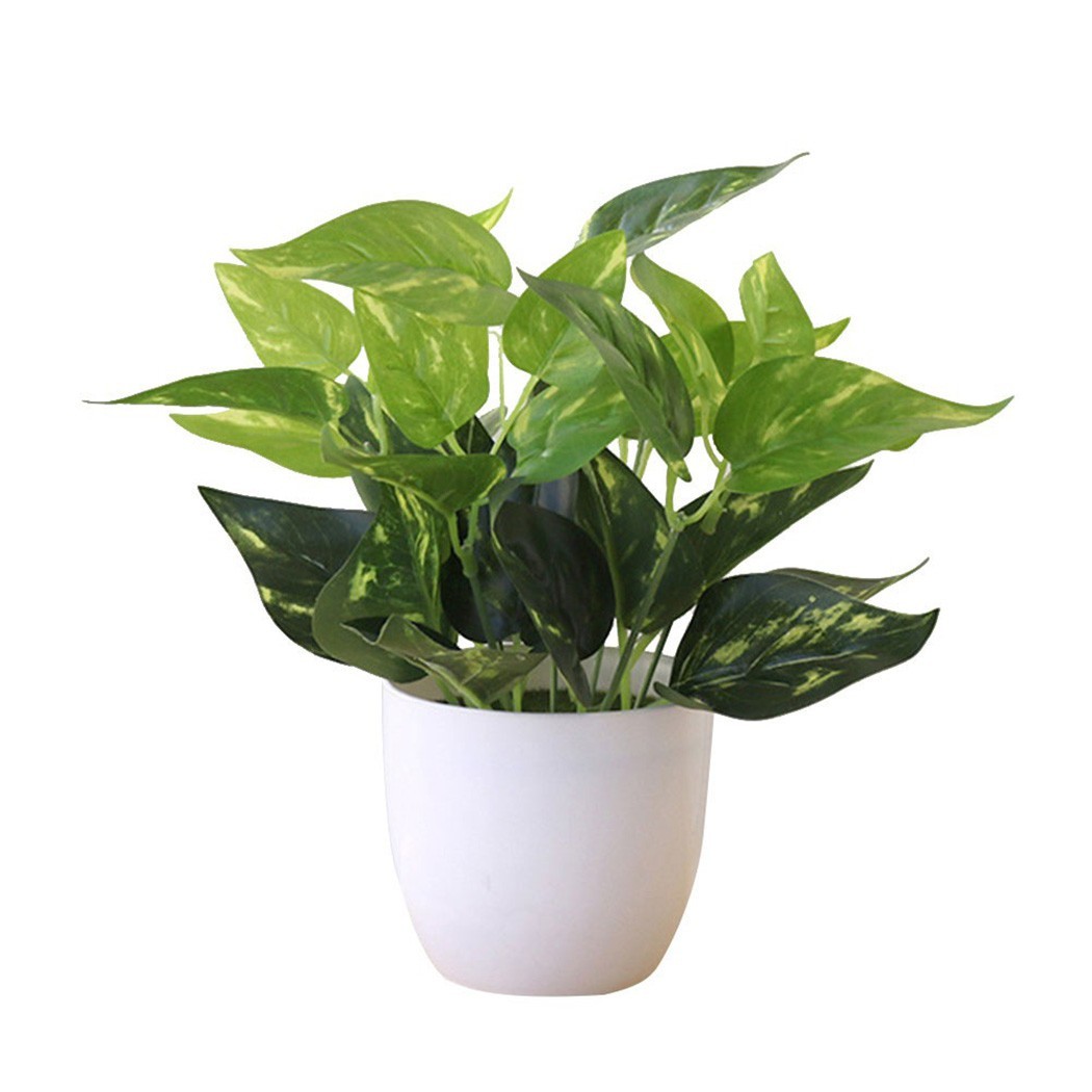 Artificial Foliage Plant Vivid Color Bring Freshness to Your Home or Shop
