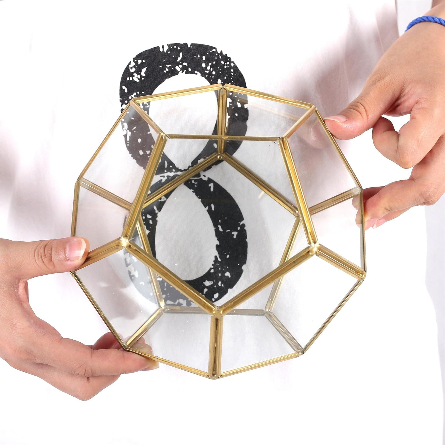 No Door Glass Terrarium for Small Cactus, Succulents – Gold Geometric Terrarium