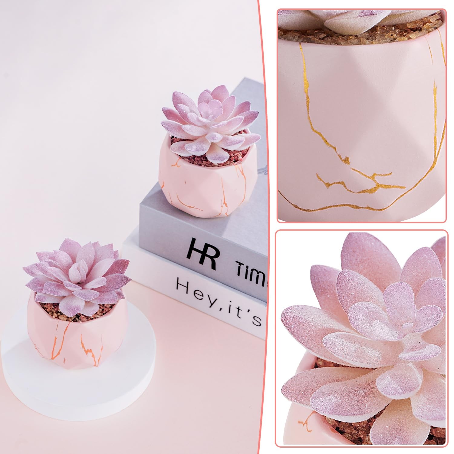 Artificial Succulent Plants in 2 Pink Ceramic Pots, Cute Fake Plants for Vani…