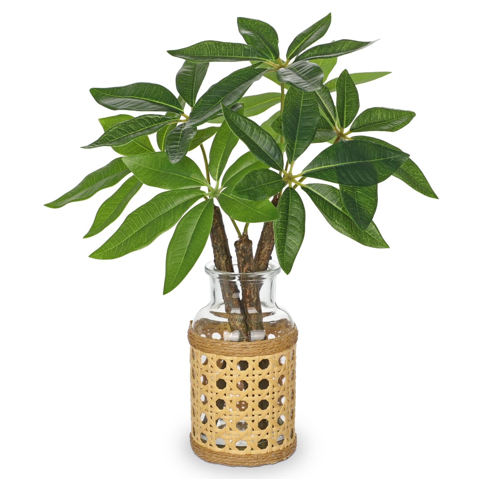 Fake Money Tree Leaves Stems in Woven Glass Vase with Faux Water 11.8″ Artifi…