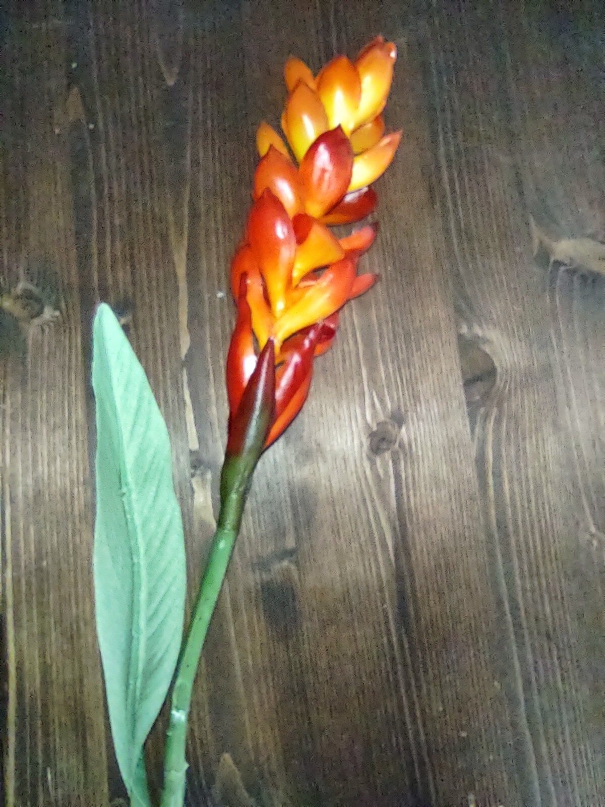 Ginger lily stem. Silk arrangements tropical Hawaiian flowers ORANGE