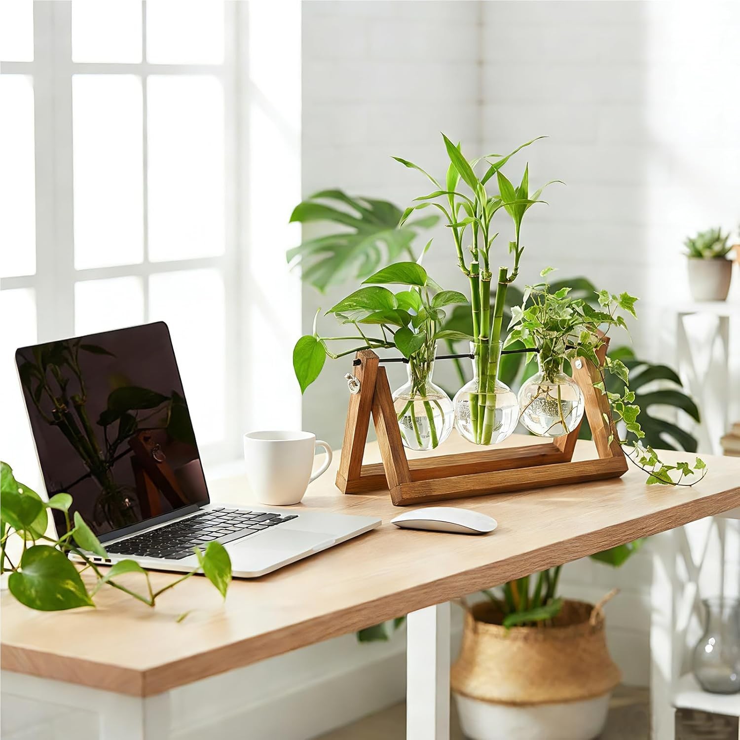 Plant Propagation Stations W/ Wooden Stand & 3 Glass Bulb Vases Plant Terrarium