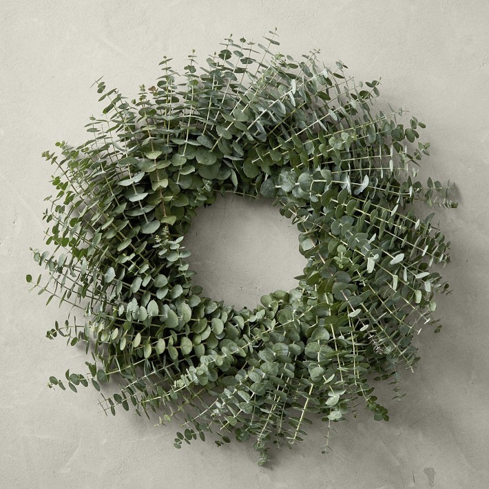 Baby Eucalyptus Door Wreath-Williams Sonoma|39057