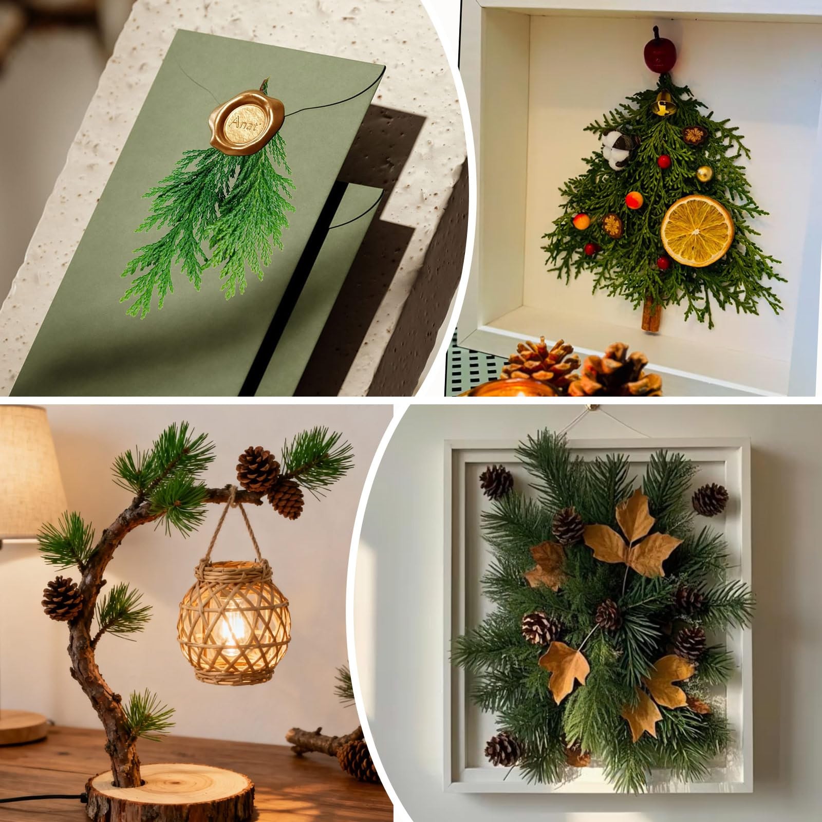 Real Pressed Pine Leaves Branches for Christmas Crafts, Natural Dried Botanic…