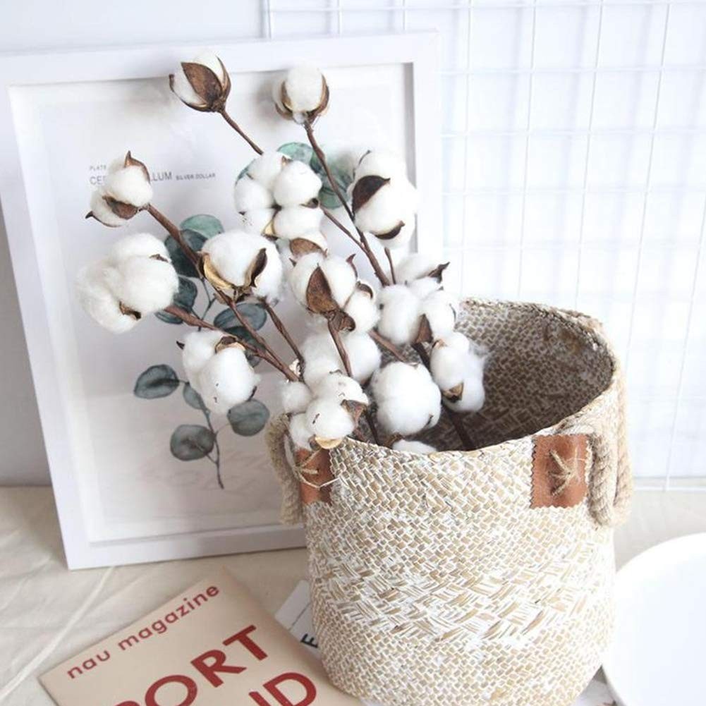 DomeStar Cotton Stems, Natural Dried Cotton 8 Packs Total 15 Bolls Cotton Sprigs