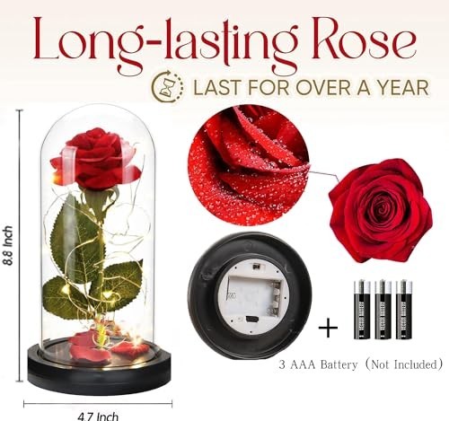 Enchanted Red Silk Rose in Glass Dome with LED Light – Preserved Flower Gift for