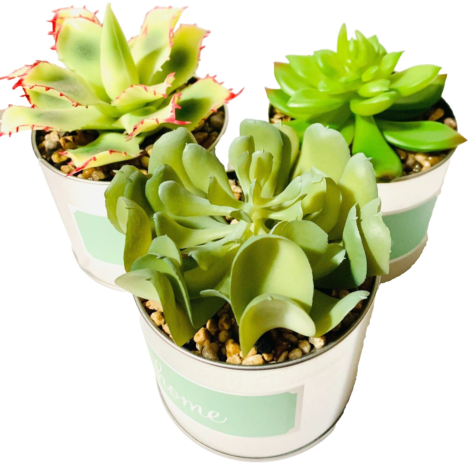 Faux Succulents in Tin Pots Set of 3 Home Sweet Home Decor New in Box