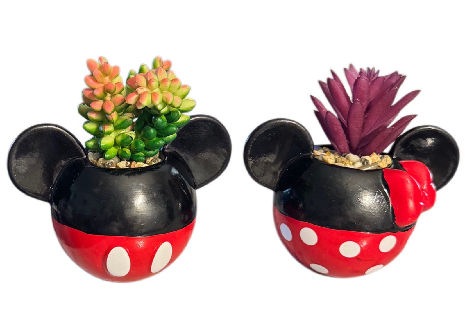 Mickey & Minnie Classic Succulent Set (2 Piece Set) Cute Plant Decor