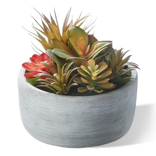 Artificial Succulent Plants in Pots,Fake Succulents with Gray 6inch Grey#1