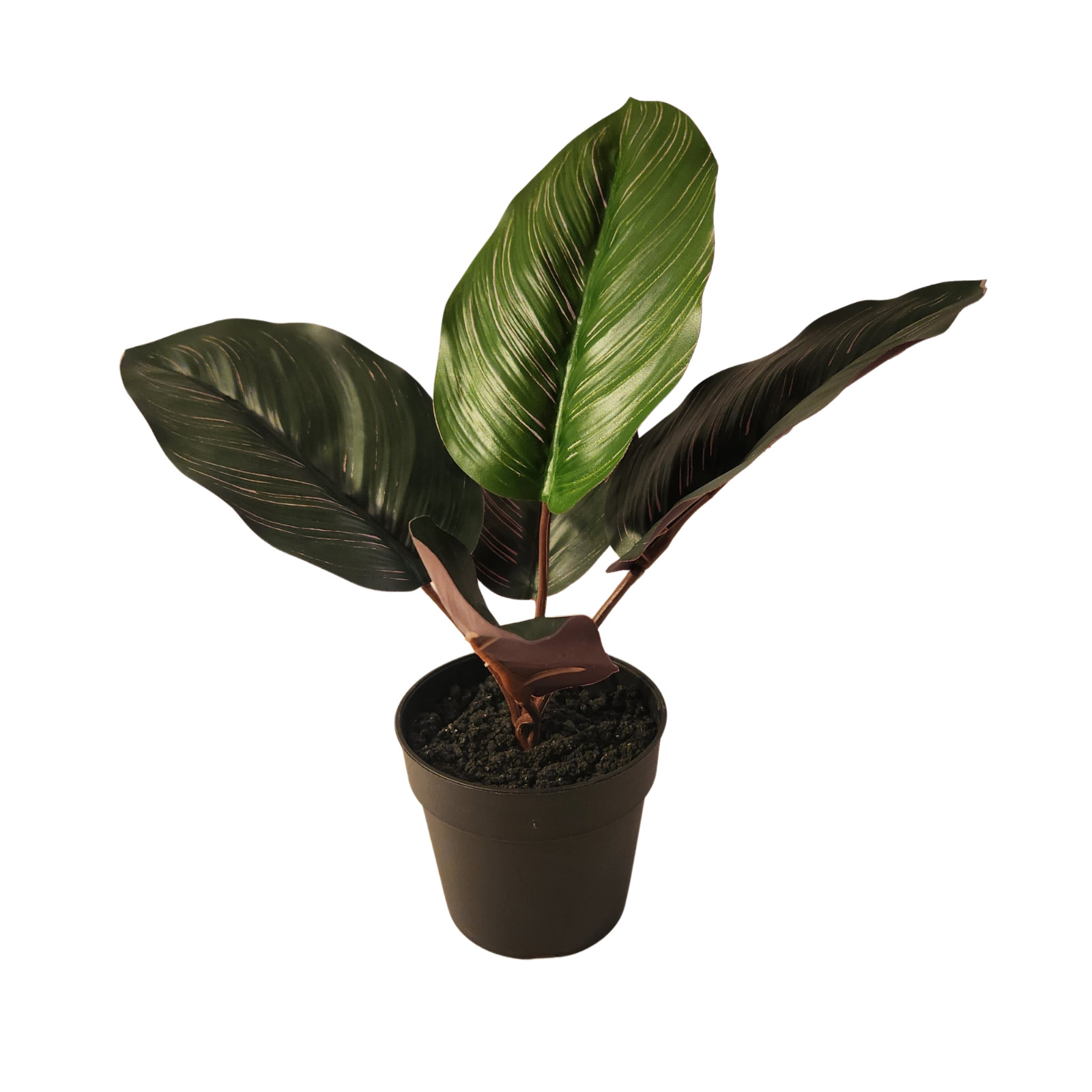 Calathea Prayer Plant Ashland Artificial Plant Decor Potted Plant